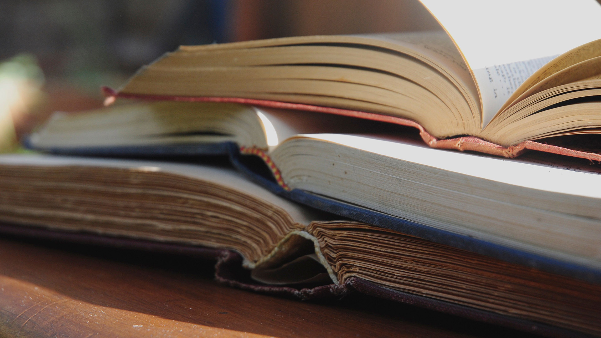 ESCUELA INSULAR DE ESCRITURA JOVEN. PIALTE + TRASVERSAL ESO Y BACHILLERATO